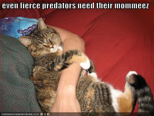 predators_need_their_mothers.jpg