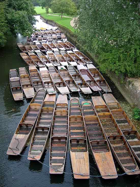 punts.jpg