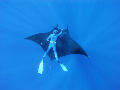 rotman_jeff_diver_holds_on_to_giant_manta_ray_mexico.jpg