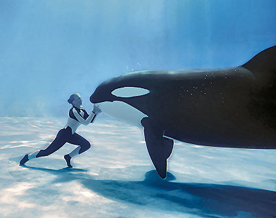 seaworld_orca.jpg