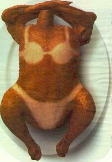 sexy_turkey_thanksgiving_2828862_293_421.jpg