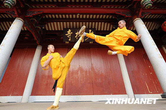 shaolin_kung_fu_kicks.jpg