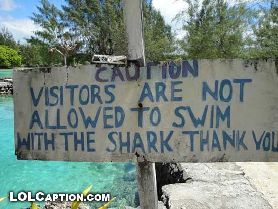 shark_sign.jpg