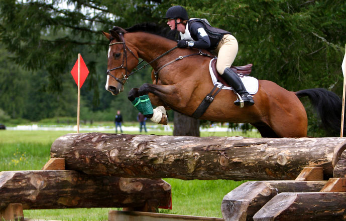 show_jumper_001.jpg