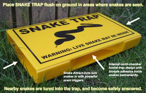 snaketrap1.jpg