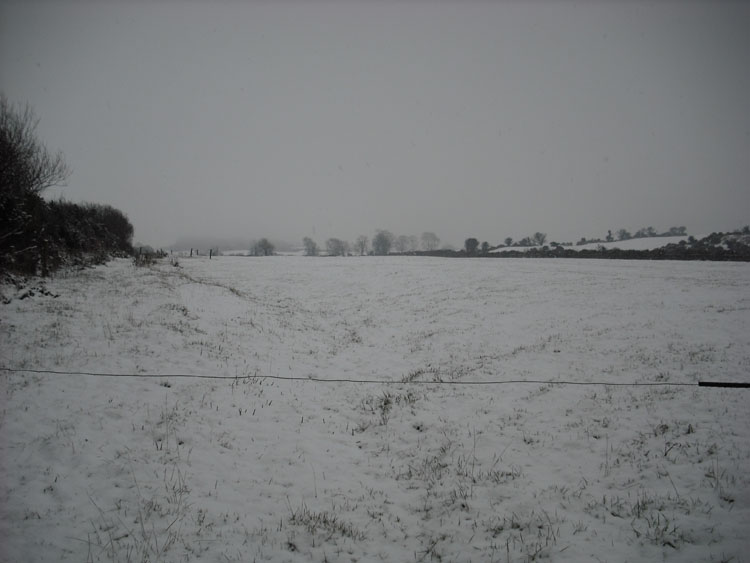 snow_field.jpg