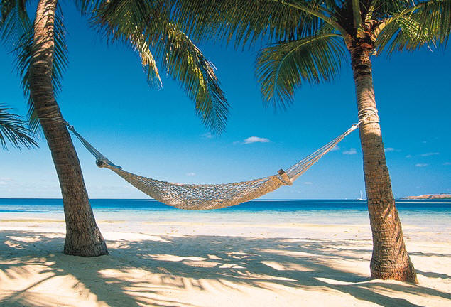 south_pacific_hammock.jpg