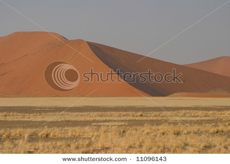 stock_photo_wide_plain_with_dry_grass_vegetation_with_a_red_dune_in_the_background_11096143.jpg