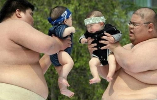 sumo_babies_7.jpg