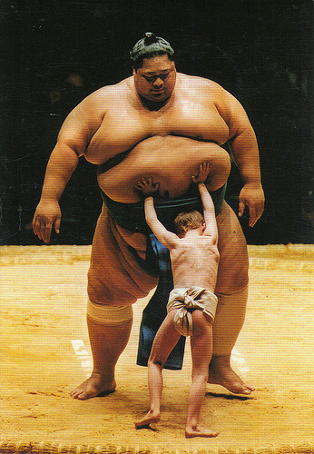 sumo_westler.jpg