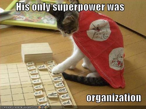 superhero_cat.jpg