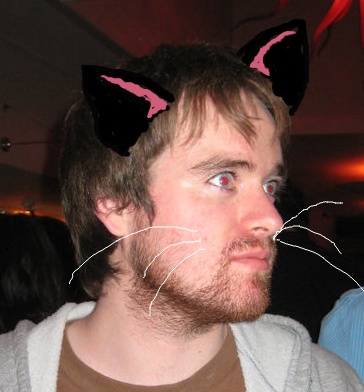 tarcat.jpg