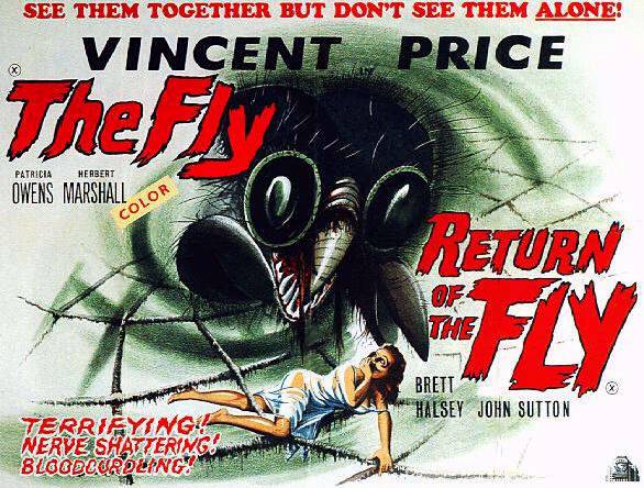 the_fly_001.jpg