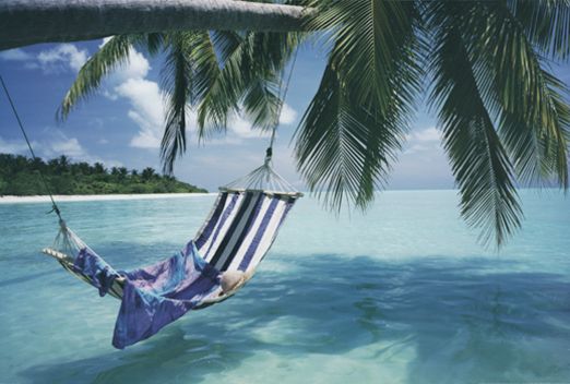 tropical_beach_hammock.jpg