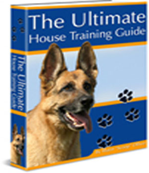 ultimate_training_guide.jpg