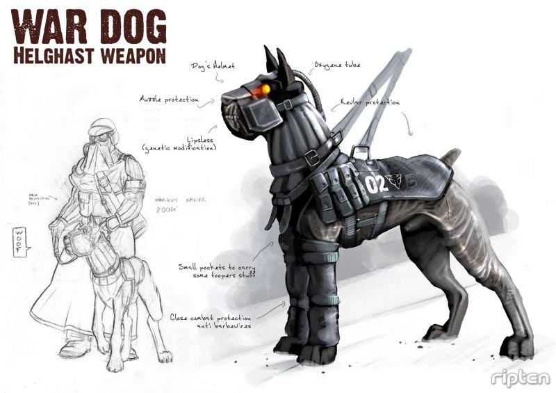 war_dog.jpg