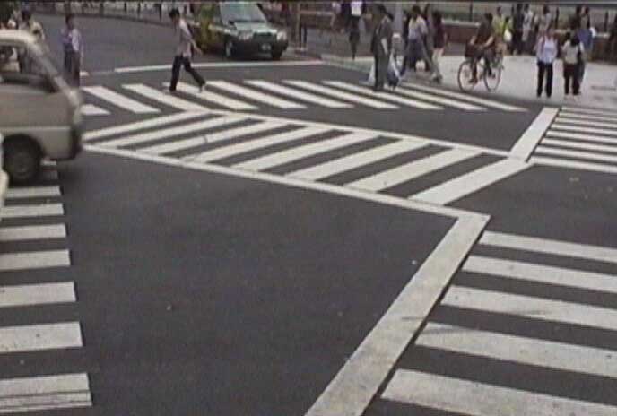 zebra_crossing_001_1.jpg